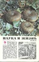 Журнал Наука и жизнь 1988 № 9 Москва Мягкая обл. 160 с. С ч/б илл