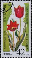 (1989-014) Марка Болгария "Тюльпан чия"   Исчезающие растения II Θ