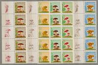 (1964-152-156) Серия Набор сцепок марок с купонами слева (5 шт) СССР     Грибы III O