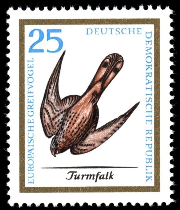 (1965-070) Марка Германия (ГДР) "Обыкновенная Пустельга "    Хищные птицы III &Theta;