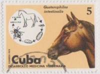 (1975-073) Марка Куба "Лошадь"    Развитие ветеринарии III Θ