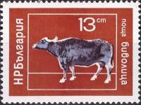 (1974-018) Марка Болгария "Буйвол"    Домашние животные I Θ