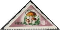 (1959-010) Марка Польша "Белый гриб"   Грибы III Θ