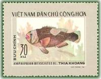 (1976-037) Марка Вьетнам "Седловидный клоун"   Тропические рыбы III Θ