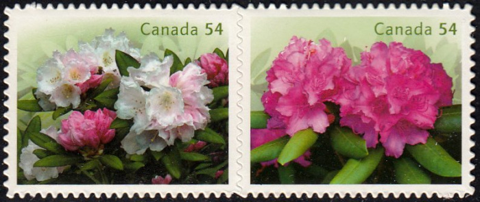 (№2009-2539) Лист марок Канада 2009 год &quot;Рододендроны&quot;, Гашеный