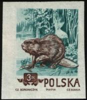(1954-055a) Марка Польша "Бобр" Без перфорации   Охраняемые животные III Θ