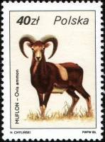 (1986-012) Марка Польша "Архар"    Охотничья дикая природа III Θ