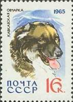 1965-018 Марка СССР Кавказская овчарка   Служебные и охотничьи собаки III Θ