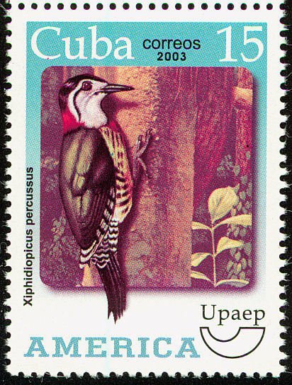 (№4557) Марка Куба 2003 год &quot;Кубинский зеленый Дятел Xiphidiopicus percussus&quot;, Гашеная