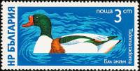 (1976-018) Марка Болгария "Пеганка"   Водоплавающие птицы III Θ
