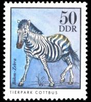 (1975-028) Марка Германия (ГДР) "Зебра Гранта"    Животные зоопарка III Θ