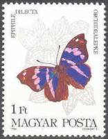 (1984-024) Марка Венгрия "Прекрасный баннер"    Бабочки II Θ