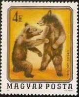 (1976-007) Марка Венгрия "Медвежата"    Молодые дикие животные II Θ