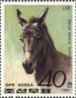 (1991-072) Марка Северная Корея "Сомалийский осёл"   Породы лошадей III Θ