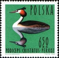 (1964-041) Марка Польша "Большая поганка"   Водоплавающие птицы III Θ
