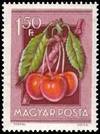 (1954-046) Марка Венгрия "Вишня"    Сельскохозяйственная выставка III Θ