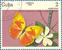 (1984-007) Марка Куба "Красная сера"    Бабочки II Θ