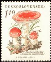 (1958-047) Марка Чехословакия "Мухоморы"    Грибы III Θ