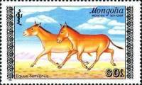 (1988-060) Марка Монголия "Два кулана"    Туркменский кулан III O
