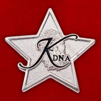 30391\133419 Значок радиостанции KDNA