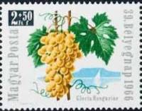 (1966-076) Марка Венгрия "Виноград"    День почтовой марки III Θ