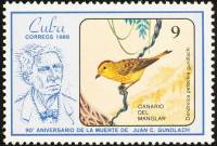 (1986-021) Марка Куба "Золотощёкий лесной певун"    90 лет со дня смерти Хуана Кристобаля Гундлаха I