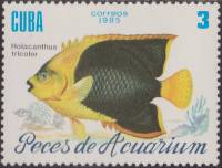 (1985-059) Марка Куба "Карибская императорская рыба"    Рыбы III Θ
