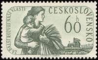 (1960-025) Марка Чехословакия "Женщина с ребёнком"   Парламентские выборы 1960 года III Θ