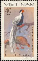 (1979-042a) Марка Вьетнам "Серебряная лофура"  Без перфорации  Птицы III Θ