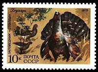 1975-075 Марка СССР Глухарь  Фауна II O