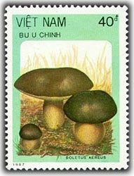 (1987-116) Марка Вьетнам &quot;Боровик бронзовый&quot;    Грибы III Θ