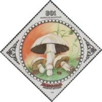 (1985-063) Марка Монголия "Шампиньон"    Грибы III Θ