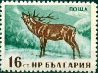 (1958-013) Марка Болгария "Олень" Перф лин 11   Дикие животные Болгарии II Θ