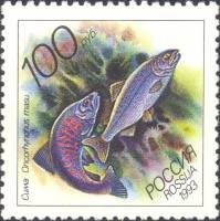 1993-044 Марка Россия Сима  Жители морей Тихоокеанского региона III Θ