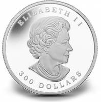 () Монета Канада 2014 год 3000  ""    AU