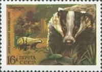 1975-076 Марка СССР Барсук  Фауна III O
