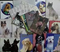 Набор календарей "Породы собак", 42 шт., СССР,  80-е\90-е г.