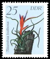 (1988-013) Марка Германия (ГДР) "Тилландсия луковичная"    Растения III O