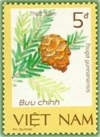 (1986-113a) Марка Вьетнам "Ель Юнань"  Без перфорации  Редкие растения III Θ