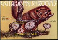 (№2000-670) Блок марок Гайана 2000 год "Marasmius rotula как zotula", Гашеный