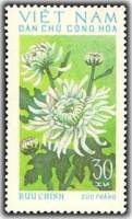 (1974-018) Марка Вьетнам "Белая"   Хризантемы III Θ