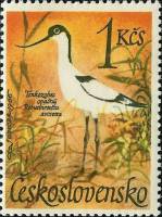 (1967-012) Марка Чехословакия "Шилоклювка"    Водоплавающие птицы III Θ