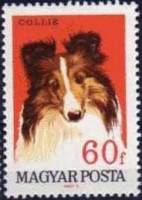 (1967-035) Марка Венгрия "Колли"    Собаки III Θ