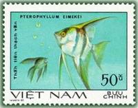 (1981-006) Марка Вьетнам "Скалярии"    Декоративные рыбки III O
