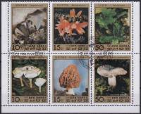 (1986-083) Лист (6 м 2х3) Северная Корея "Минералы и грибы"   Минералы и грибы III Θ