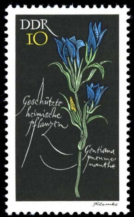 (1966-094) Марка Германия (ГДР) &quot;Горечавка лёгочная&quot;    Растения под защитой II Θ