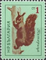 (1963-018) Марка Болгария "Белка"   Дикие животные II Θ