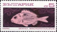 (1969-102) Марка Болгария "Карась"   Океанское рыболовство III O
