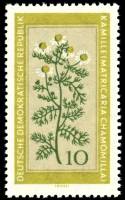 (1960-013) Марка Германия (ГДР) "Ромашка аптечная"    Лекарственные растения III O
