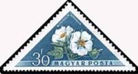(1958-051) Марка Венгрия "Гибискус китайский"    Цветы III Θ